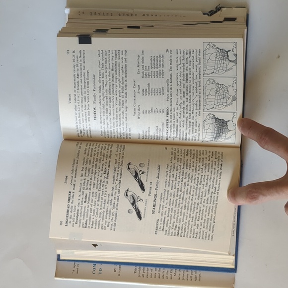 Complete Field Guide to American Wildlife - 1959 - Picture 11 of 15